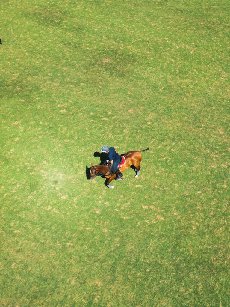 Horse riding — aerial sports